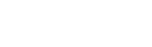 api-logo